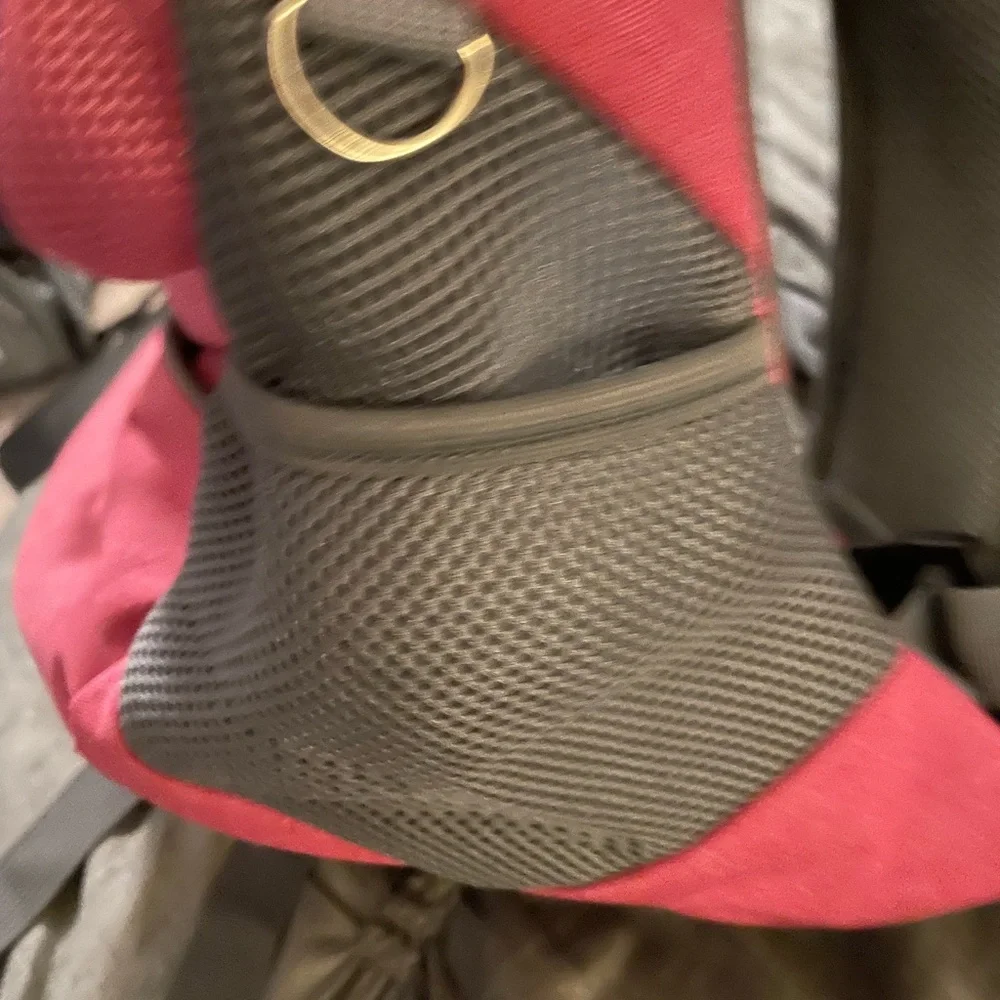 Dog carrier backpack